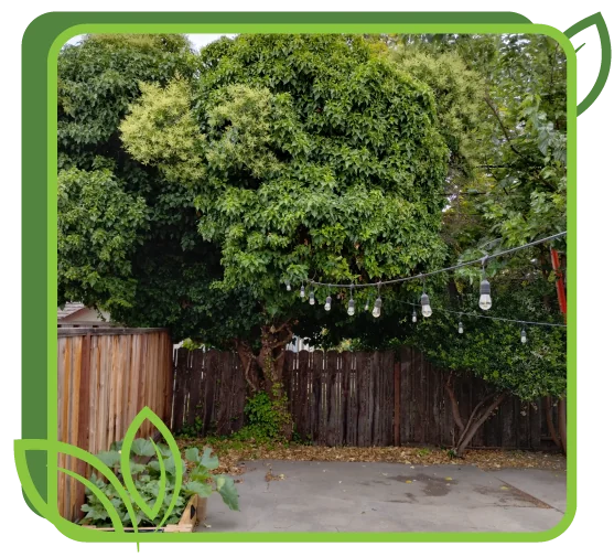 home-img