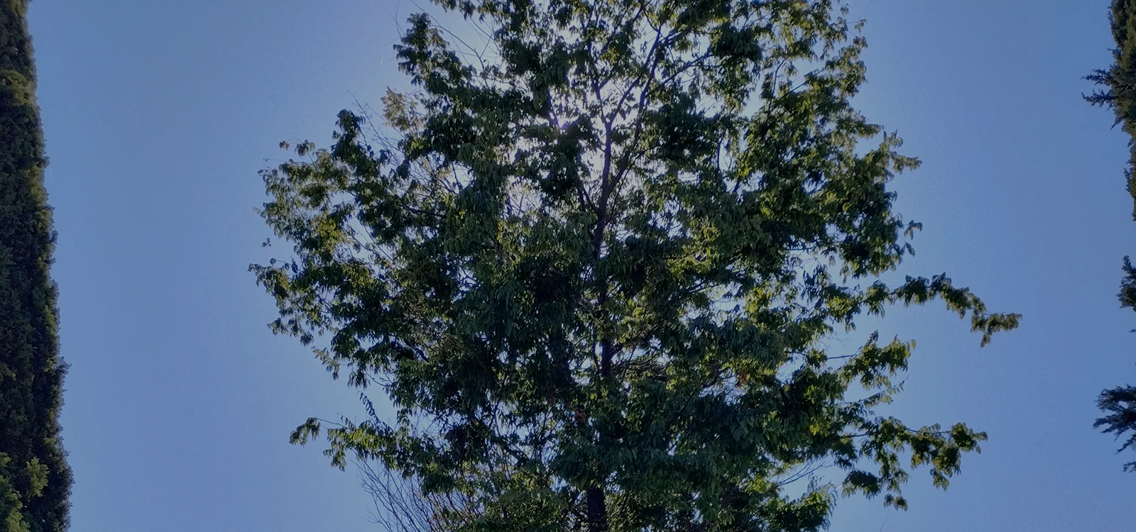 img-slider-4